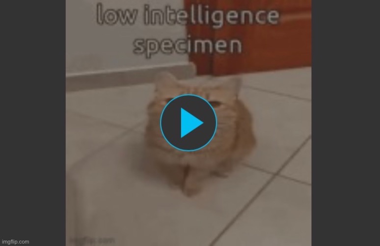 This is a nice gif | image tagged in low intelligence specimen | made w/ Imgflip meme maker