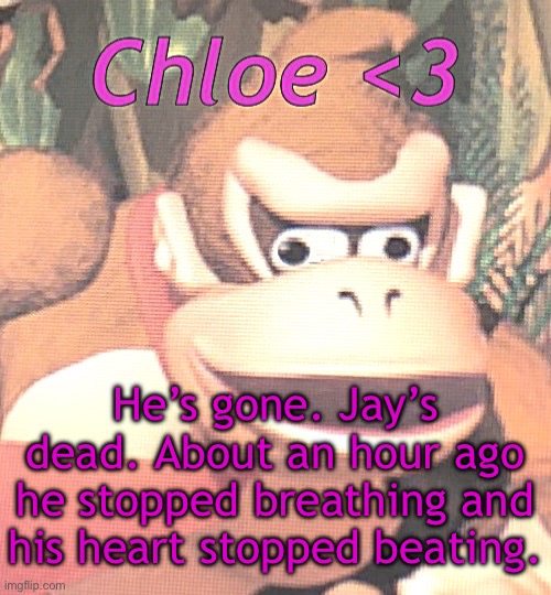Chloe announcement temp | He’s gone. Jay’s dead. About an hour ago he stopped breathing and his heart stopped beating. | image tagged in chloe announcement temp | made w/ Imgflip meme maker