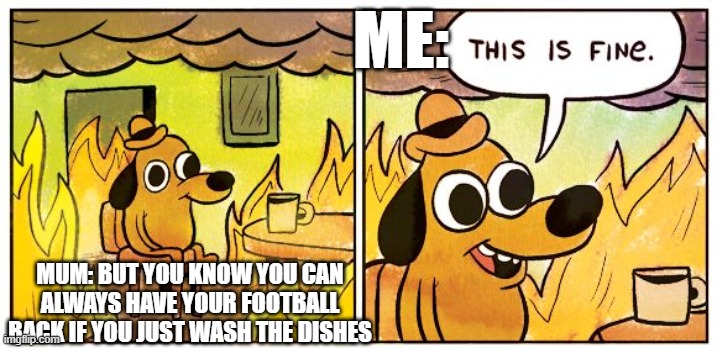 FOLLOW | ME:; MUM: BUT YOU KNOW YOU CAN ALWAYS HAVE YOUR FOOTBALL BACK IF YOU JUST WASH THE DISHES | image tagged in memes | made w/ Imgflip meme maker