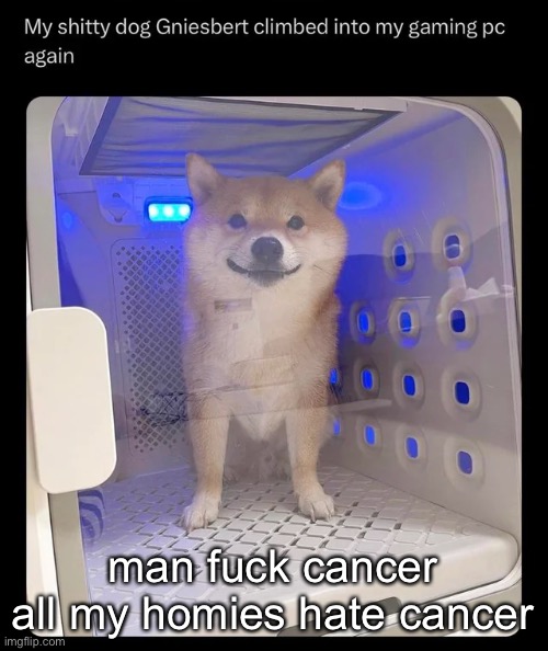 gniesbert | man fuck cancer all my homies hate cancer | image tagged in gniesbert | made w/ Imgflip meme maker