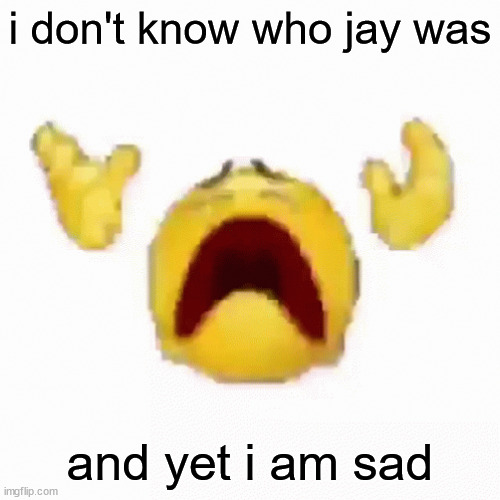 :nooo: | i don't know who jay was; and yet i am sad | image tagged in nooo | made w/ Imgflip meme maker