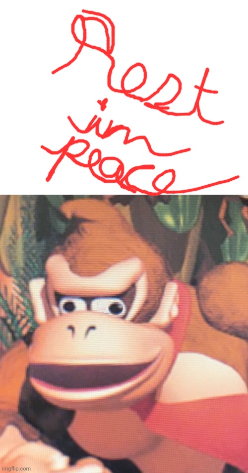 R.I.P | image tagged in donkey kong | made w/ Imgflip meme maker