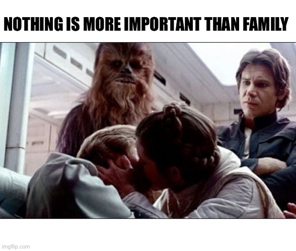 Family | NOTHING IS MORE IMPORTANT THAN FAMILY | image tagged in luke leia kiss | made w/ Imgflip meme maker