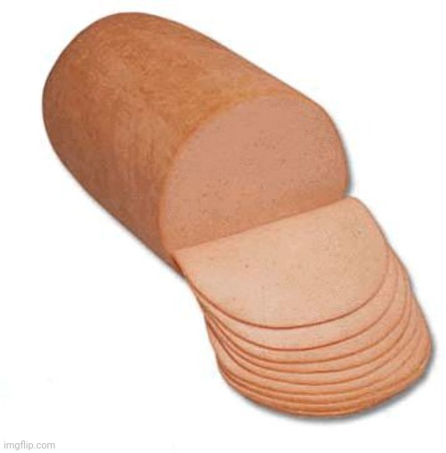 baloney | image tagged in baloney | made w/ Imgflip meme maker