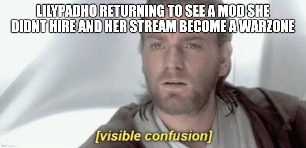 Visible Confusion | LILYPADHO RETURNING TO SEE A MOD SHE DIDNT HIRE AND HER STREAM BECOME A WARZONE | image tagged in visible confusion | made w/ Imgflip meme maker
