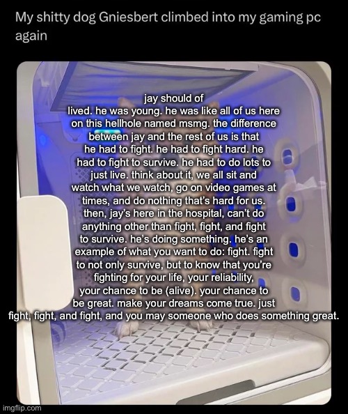gniesbert | jay should of lived. he was young. he was like all of us here on this hellhole named msmg. the difference between jay and the rest of us is that he had to fight. he had to fight hard. he had to fight to survive. he had to do lots to just live. think about it, we all sit and watch what we watch, go on video games at times, and do nothing that’s hard for us. then, jay’s here in the hospital, can’t do anything other than fight, fight, and fight to survive. he’s doing something. he’s an example of what you want to do: fight. fight to not only survive, but to know that you’re fighting for your life, your reliability, your chance to be (alive). your chance to be great. make your dreams come true. just fight, fight, and fight, and you may someone who does something great. | image tagged in gniesbert | made w/ Imgflip meme maker