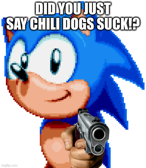 chili dogs | DID YOU JUST SAY CHILI DOGS SUCK!? | image tagged in sonic with a gun | made w/ Imgflip meme maker