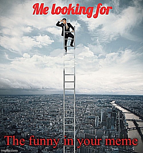 Searching | The funny in your meme | image tagged in searching | made w/ Imgflip meme maker