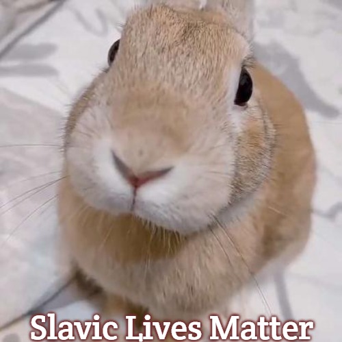slungus | Slavic Lives Matter | image tagged in slungus,slavic | made w/ Imgflip meme maker