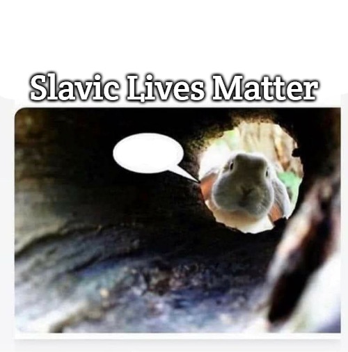 The rabbit hole meme | Slavic Lives Matter | image tagged in the rabbit hole meme,slavic | made w/ Imgflip meme maker