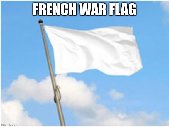 White flag | FRENCH WAR FLAG | image tagged in white flag | made w/ Imgflip meme maker