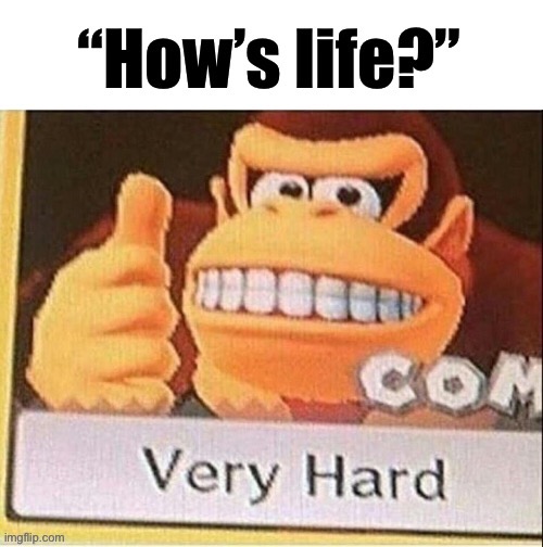 Jay had a bunch of DK shitposts. I’m posting them. | image tagged in how s life | made w/ Imgflip meme maker