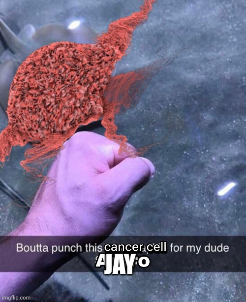 Just got here, is it Jay or Astro | JAY | made w/ Imgflip meme maker
