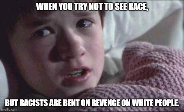 when folks get it twisted. | WHEN YOU TRY NOT TO SEE RACE, BUT RACISTS ARE BENT ON REVENGE ON WHITE PEOPLE. | image tagged in memes,i see dead people | made w/ Imgflip meme maker
