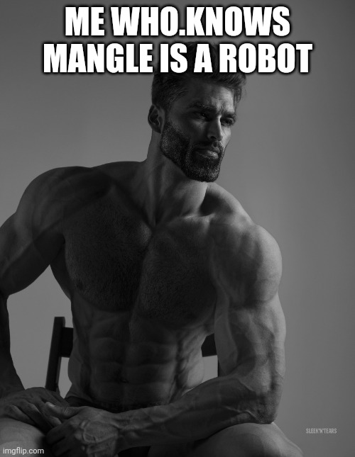 Giga Chad | ME WHO.KNOWS MANGLE IS A ROBOT | image tagged in giga chad | made w/ Imgflip meme maker