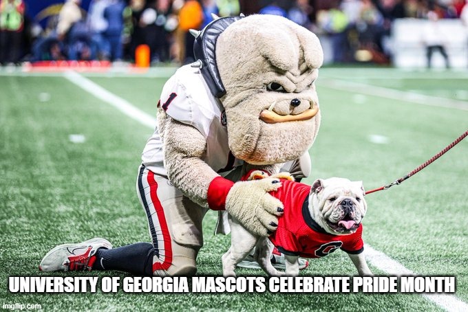 Puppy love... | UNIVERSITY OF GEORGIA MASCOTS CELEBRATE PRIDE MONTH | image tagged in pride month | made w/ Imgflip meme maker