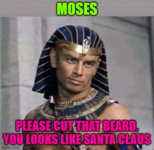 pharaoh | MOSES; PLEASE CUT THAT BEARD, YOU LOOKS LIKE SANTA CLAUS | image tagged in pharaoh | made w/ Imgflip meme maker