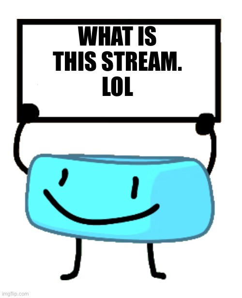 Bracelety Sign | WHAT IS THIS STREAM.
LOL | image tagged in bracelety sign | made w/ Imgflip meme maker