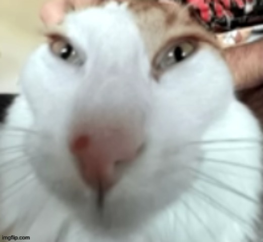heloo | made w/ Imgflip meme maker