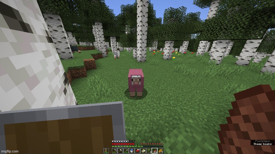 i found a pink sheep | image tagged in minecraft memes,minecraft | made w/ Imgflip meme maker