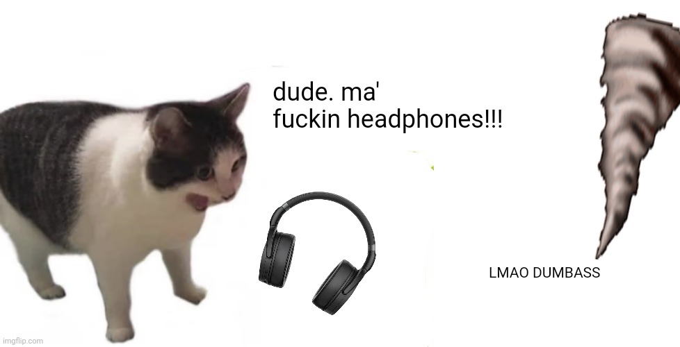 dude. ma' fuckin headphones!!! LMAO DUMBASS | image tagged in cat screaming,blank white template | made w/ Imgflip meme maker