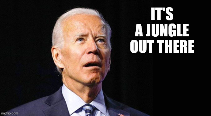Confused joe biden | IT'S A JUNGLE OUT THERE | image tagged in confused joe biden | made w/ Imgflip meme maker