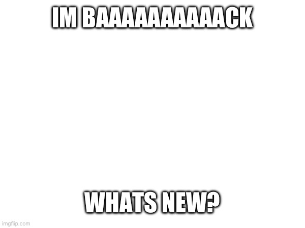 Back after 2 years! | IM BAAAAAAAAAACK; WHATS NEW? | image tagged in random | made w/ Imgflip meme maker