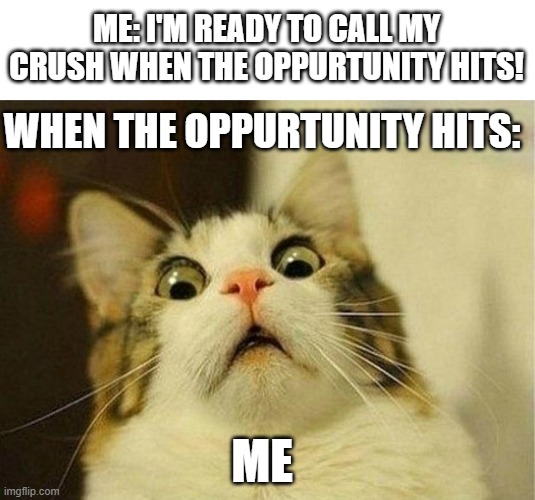 literally me right now | ME: I'M READY TO CALL MY CRUSH WHEN THE OPPURTUNITY HITS! WHEN THE OPPURTUNITY HITS:; ME | image tagged in memes,scared cat | made w/ Imgflip meme maker