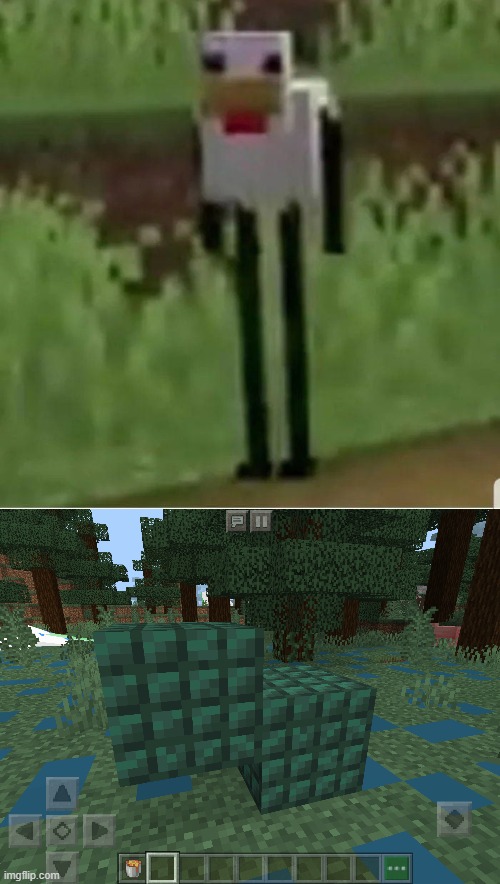image tagged in cursed minecraft chicken,cursed minecraft | made w/ Imgflip meme maker