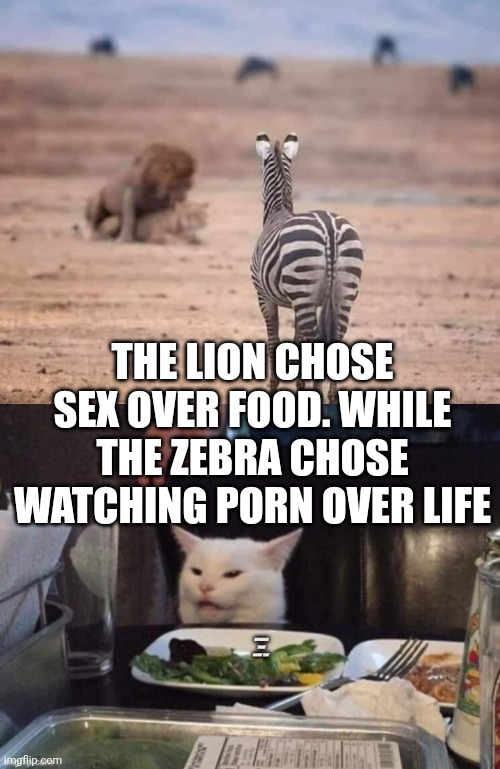 THE LION CHOSE SEX OVER FOOD. WHILE THE ZEBRA CHOSE WATCHING PORN OVER LIFE | image tagged in smudge that darn cat | made w/ Imgflip meme maker