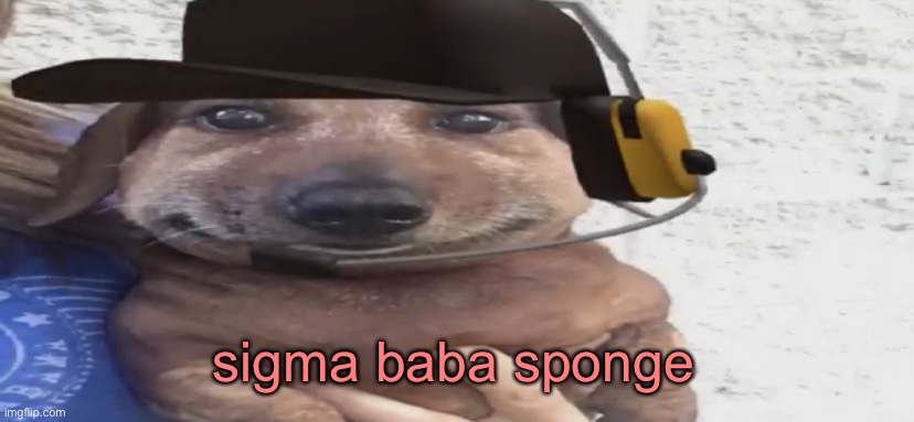 chucklenuts | sigma baba sponge | image tagged in chucklenuts | made w/ Imgflip meme maker