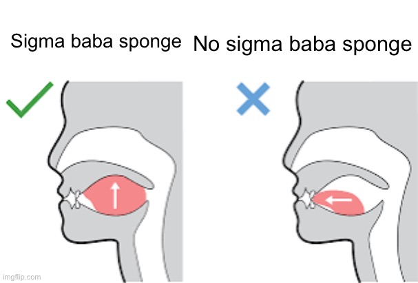 sigma baba sponge | Sigma baba sponge; No sigma baba sponge | image tagged in mewing diagram | made w/ Imgflip meme maker