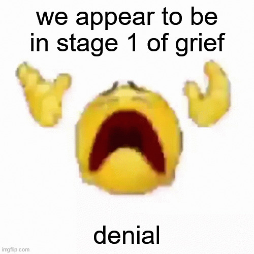 :nooo: | we appear to be in stage 1 of grief; denial | image tagged in nooo | made w/ Imgflip meme maker