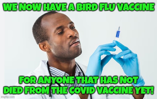 Round 2 - Fight | WE NOW HAVE A BIRD FLU VACCINE; FOR ANYONE THAT HAS NOT DIED FROM THE COVID VACCINE YET! | made w/ Imgflip meme maker