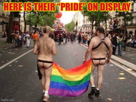 Gay Pride | HERE IS THEIR “PRIDE” ON DISPLAY | image tagged in gay pride | made w/ Imgflip meme maker