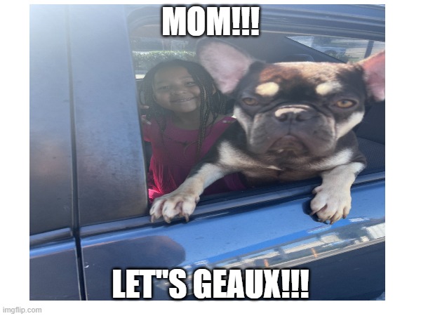 LET'S GEAUX | MOM!!! LET"S GEAUX!!! | image tagged in girl,funny dogs,dog,happy,lets go | made w/ Imgflip meme maker