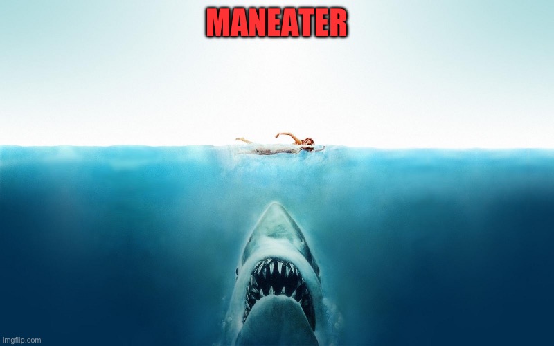 Jaws | MANEATER | image tagged in jaws,funny,lol,maneater | made w/ Imgflip meme maker