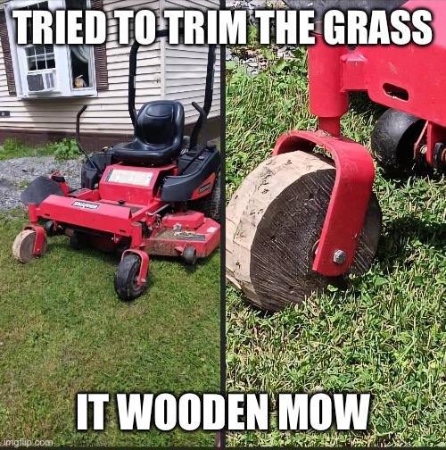 Brilliant | TRIED TO TRIM THE GRASS; IT WOODEN MOW | image tagged in lawnmower | made w/ Imgflip meme maker