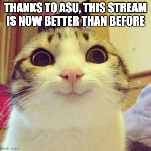 Smiling Cat | THANKS TO ASU, THIS STREAM IS NOW BETTER THAN BEFORE | image tagged in memes,smiling cat,stream,anti-skibidi_union,thank you | made w/ Imgflip meme maker