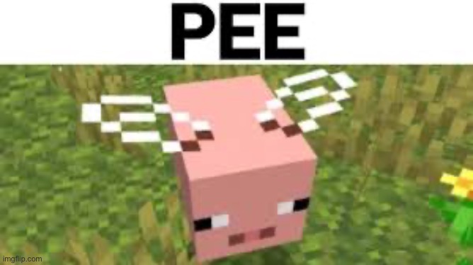 Pee | image tagged in pee | made w/ Imgflip meme maker
