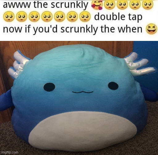 the skrunkly | made w/ Imgflip meme maker