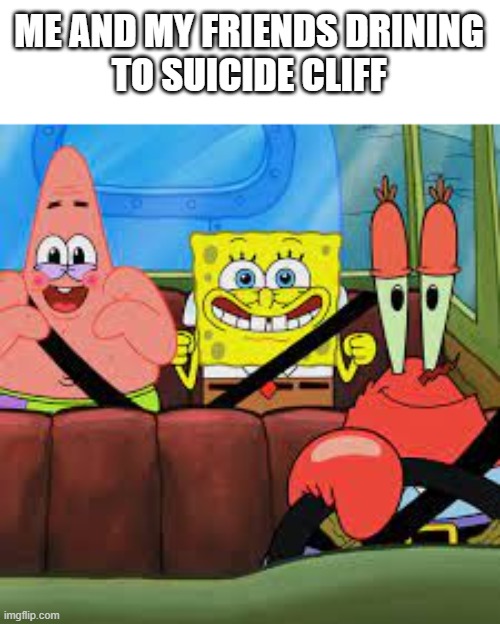 Field Trip | ME AND MY FRIENDS DRINING
TO SUICIDE CLIFF | image tagged in spongebob patrick and mr krabs in a car,spongebob | made w/ Imgflip meme maker