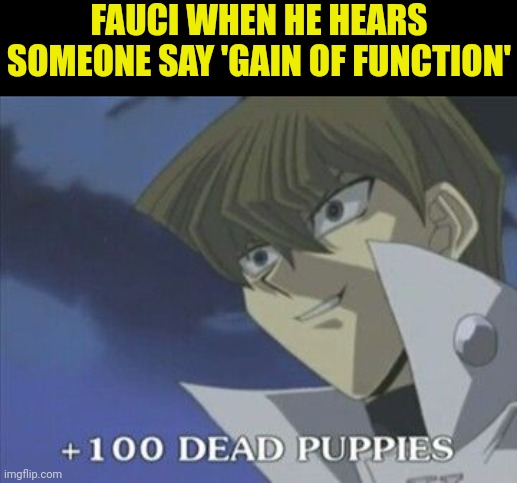 fauci | FAUCI WHEN HE HEARS SOMEONE SAY 'GAIN OF FUNCTION' | image tagged in fauci,dead,puppies | made w/ Imgflip meme maker