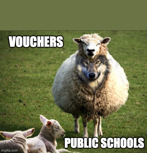 Wolf in sheep's clothing | VOUCHERS; PUBLIC SCHOOLS | image tagged in wolf in sheep's clothing | made w/ Imgflip meme maker