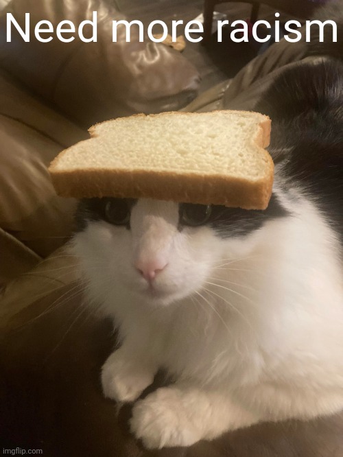 Miau | Need more racism | image tagged in bread cat | made w/ Imgflip meme maker