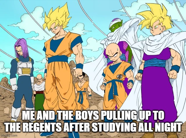 ME AND THE BOYS PULLING UP TO THE REGENTS AFTER STUDYING ALL NIGHT | image tagged in studying,strong,dbz,dbz meme | made w/ Imgflip meme maker