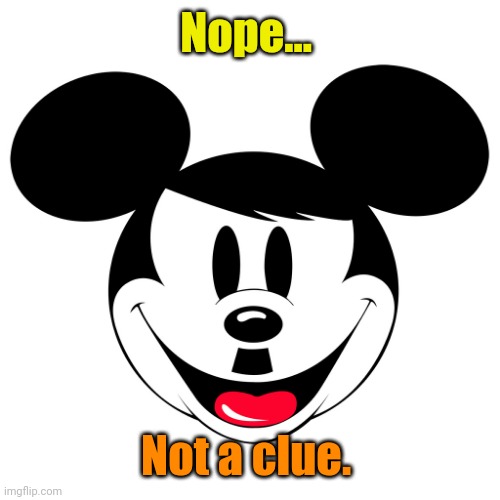 Mickey Hitler | Nope... Not a clue. | image tagged in mickey hitler | made w/ Imgflip meme maker