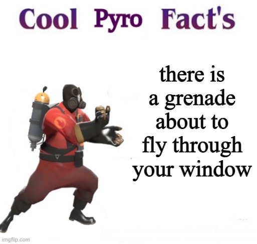 there is a grenade about to fly through your window | image tagged in cooler pyro facts | made w/ Imgflip meme maker