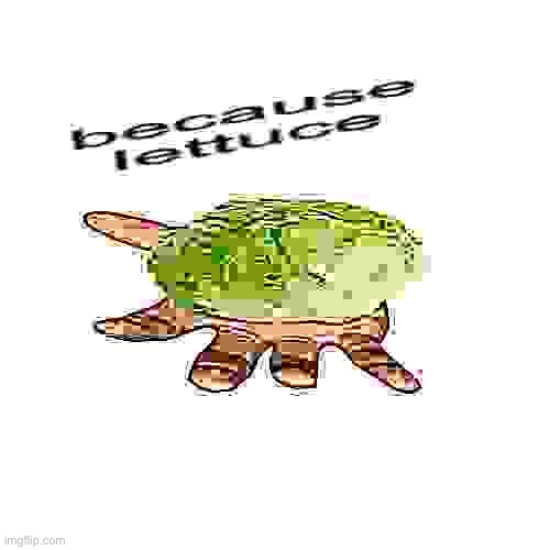 because lettuce | image tagged in because lettuce | made w/ Imgflip meme maker