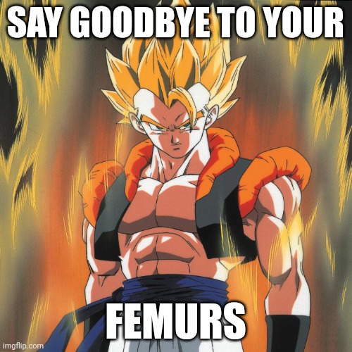 DBZ Gogeta | SAY GOODBYE TO YOUR FEMURS | image tagged in dbz gogeta | made w/ Imgflip meme maker